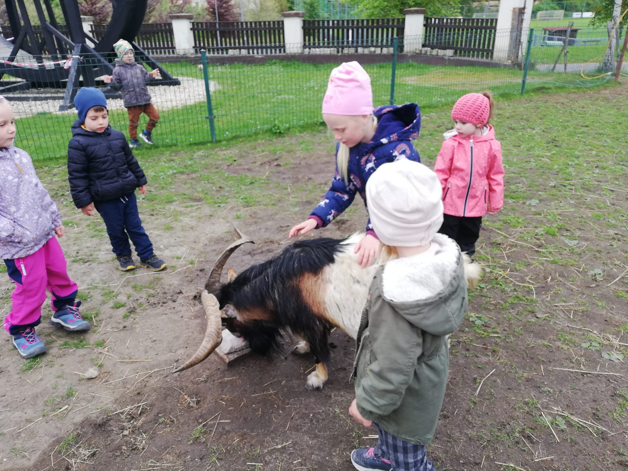IMG-20230517-WA0010